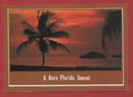 U.S.A. - Florida - 'a Rare Florida Sunset'- 1987, Ophalen of Verzenden, 1980 tot heden, Gelopen, Buiten Europa