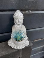 Buddha Beeldje met Plantje en meer, Ophalen of Verzenden, Zo goed als nieuw