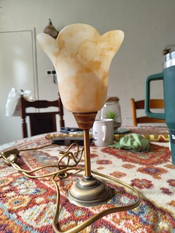 Sfeervolle vintage bloemlamp beschikbaar voor biedingen