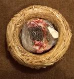 Kerstkrans stro en klemmen
Diameter krans 25cm, Ophalen of Verzenden, Zo goed als nieuw