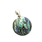 zilveren hanger Abalone schelp, Verzenden, Nieuw, Met edelsteen, Zilver