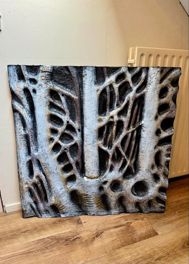 Achterwand voor terrarium, Dieren en Toebehoren, Reptielen en Amfibieën | Toebehoren, Zo goed als nieuw, Overige typen, Ophalen