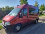 Citroen Jumper L2H2 buscamper, Caravans en Kamperen, Buscamper of Camperbus, Tot en met 2, Diesel, Particulier