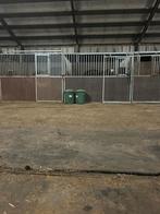 Pensionstalling te Garyp, Dieren en Toebehoren, Stalling en Weidegang, Stalling, 2 of 3 paarden of pony's