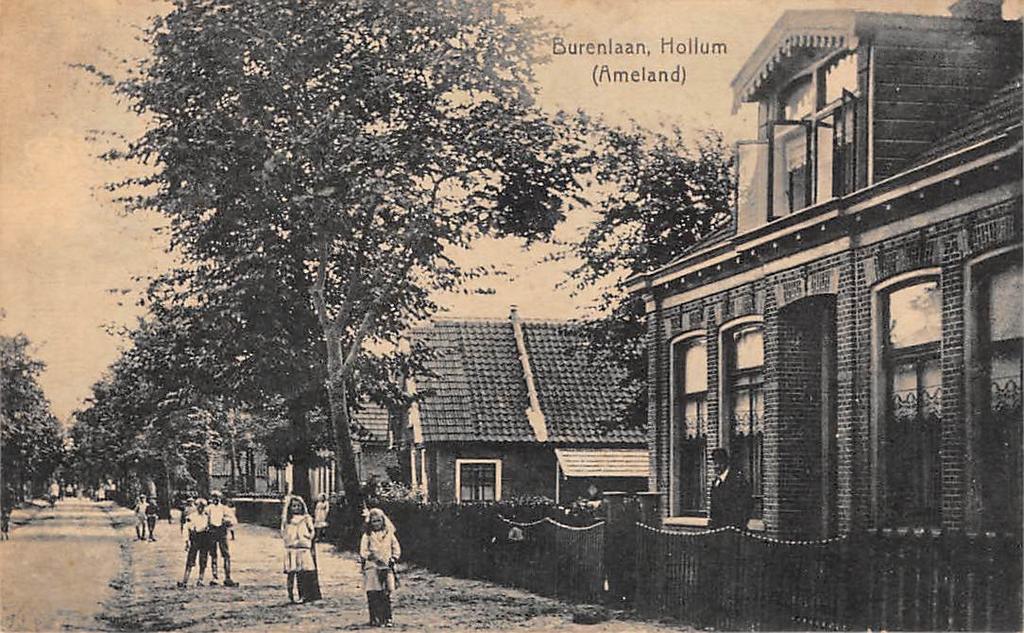 Hollum (Ameland) Burenlaan, Ophalen of Verzenden, Voor 1920, Gelopen, Friesland