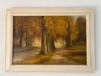 Een schilderij van een bosgezicht in de herfst 71x51 cm, Ophalen of Verzenden