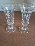 2 jägermeister borrel glaasjes, 2 CL., Verzamelen, Glas en Borrelglaasjes, Ophalen of Verzenden, Nieuw, Borrel- of Shotglas