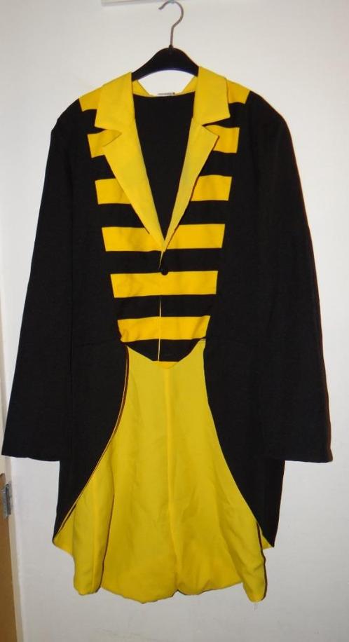 Leuke geel/zwarte BIJ/BIJEN/HOMMEL jas, Kleding | Heren, Carnavalskleding en Feestkleding, Gedragen, Kleding, Carnaval, Overige maten