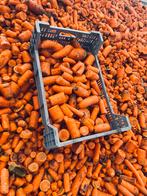 Verse Winterpeen / Wortels voor paarden e.d., Dieren en Toebehoren, Dierenvoeding, Ophalen, Overige soorten