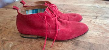 Tommy Hilfiger schoenen  beschikbaar voor biedingen