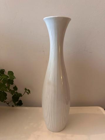 Vaas Royal Bavaria wit porselein beschikbaar voor biedingen