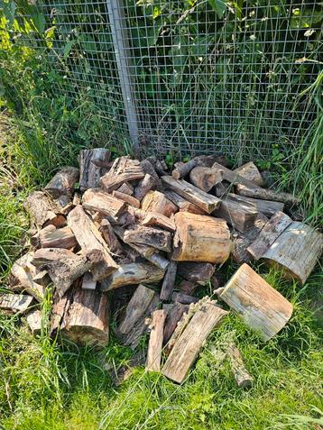 Haardhout. beschikbaar voor biedingen