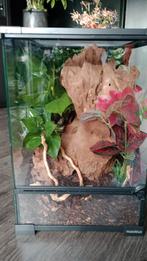 Nieuw terrarium  HabiStat (nooit een bewoner gehad)30x30x45, Ophalen, Nieuw, Terrarium of Paludarium