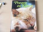 poezen en katten, Ophalen of Verzenden, Zo goed als nieuw, Katten