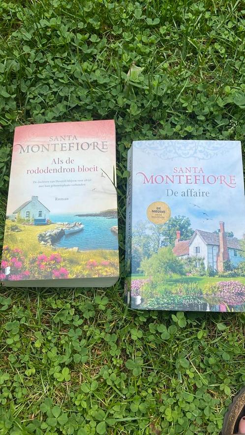 Santa Montefiore - Als de rododendron bloeit, Boeken, Literatuur, Zo goed als nieuw, Amerika, Ophalen of Verzenden