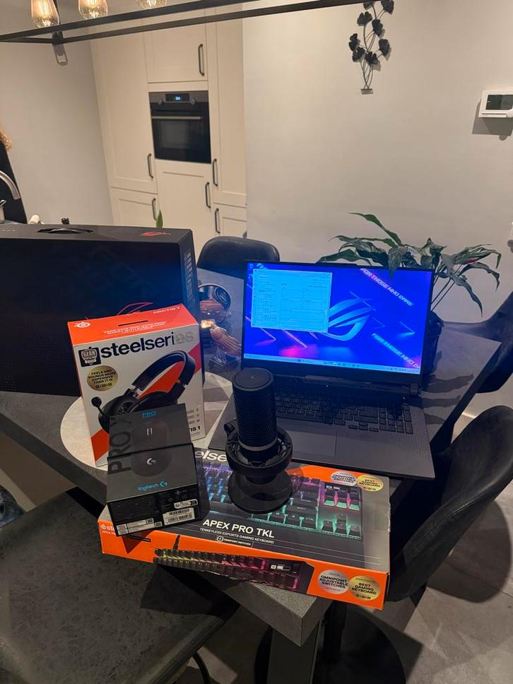 Asus ROG Strix G17 Ryzen 9 RTX 4070 Gaming Laptop, Computers en Software, Windows Laptops, Gebruikt, 17 inch of meer, SSD, 4 Ghz of meer