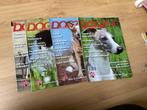 Dogzine honden tijdschrift 2020 2021, Boeken, Tijdschriften en Kranten, Ophalen of Verzenden, Zo goed als nieuw