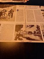 Artikel over Sluis 1958, Verzamelen, Ophalen of Verzenden, 1940 tot 1960, Knipsel(s)