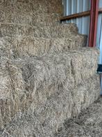 Hooi kleine balen, Dieren en Toebehoren, Dierenvoeding, Ophalen, Vee