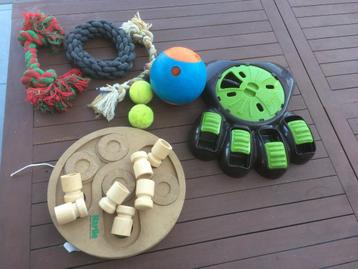 Honden speeltjes, ballen en aanleren zoek spelletjes   beschikbaar voor biedingen