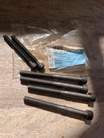 VW Schroeven 038103714A - Nieuw, Ophalen of Verzenden, Nieuw, Volkswagen