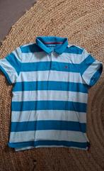 IZOD Herenpolo Wit/Blauw Gestreept - Maat L, Maat 52/54 (L), Blauw, Ophalen of Verzenden, Zo goed als nieuw