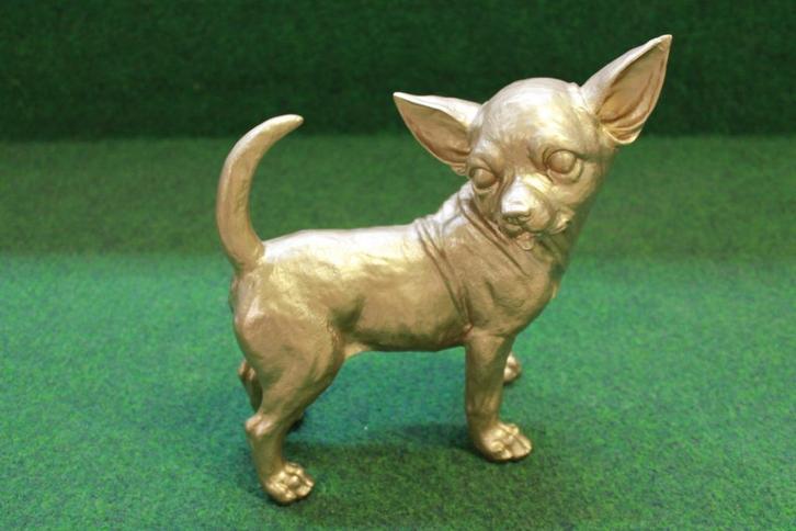 Gouden Chihuahua leuk als deco voor binnen en buiten, Verzamelen, Beelden en Beeldjes, Nieuw, Dier, Ophalen of Verzenden