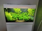 Styleline 125 aquarium, Dieren en Toebehoren, Ophalen, Gebruikt, Gevuld zoetwateraquarium