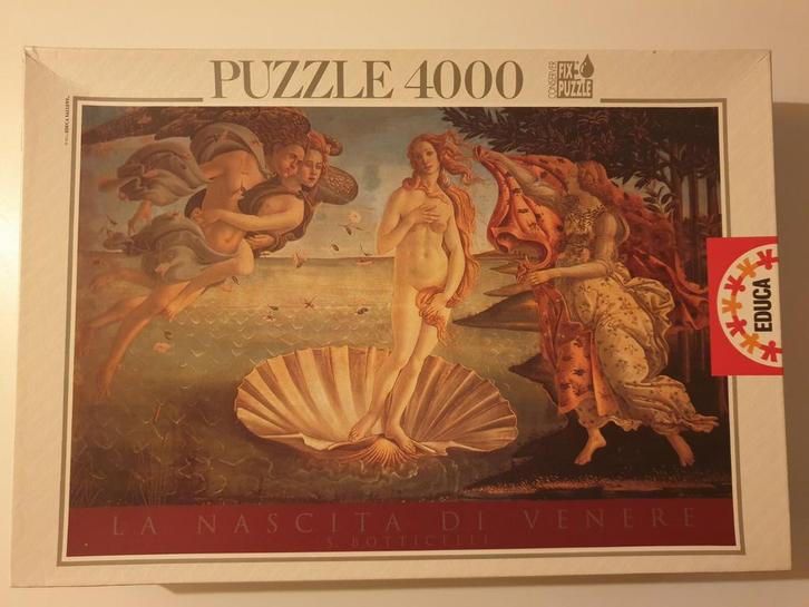 Educa Kunstpuzzel 4000 stukjes, Hobby en Vrije tijd, Denksport en Puzzels, Zo goed als nieuw, Meer dan 1500 stukjes, Ophalen of Verzenden