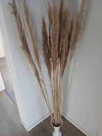 Pluimen, Ophalen of Verzenden, Nieuw