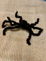 Realistische Nep Spin – [Groot/XXL], Ophalen of Verzenden, Zo goed als nieuw