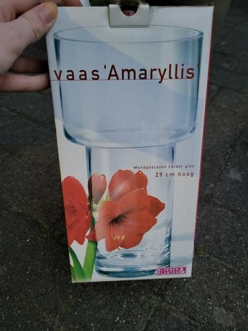 Amaryllis vaas beschikbaar voor biedingen