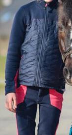 Paardrijd vest, Dieren en Toebehoren, Paardrijkleding, Ophalen of Verzenden, Overige soorten, Bovenkleding