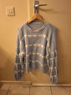 Hartjes trui, Ophalen of Verzenden, Gedragen, Maat 38/40 (M), Blauw