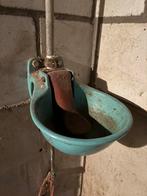 Drinkbak, Dieren en Toebehoren, Stalling en Weidegang, Stalling