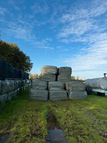 Grote Balen kuil beschikbaar voor biedingen