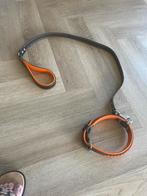 Echt lederen hondenhalsband met riem, Ophalen of Verzenden, Zo goed als nieuw