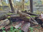 Haardhout te koop, € 65 per m3, 3 tot 6 m³, Ophalen, Overige houtsoorten, Stammen
