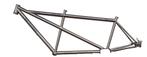 Tandem fiets belt-drive voor pinion titanium, Fietsen en Brommers, Ophalen, Minder dan 10 versnellingen, Nieuw, 47 tot 51 cm