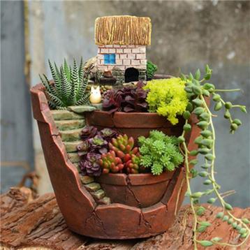 Bloempot / Planten Huis  Bloemen Pot Kruiden Open Bloembak beschikbaar voor biedingen