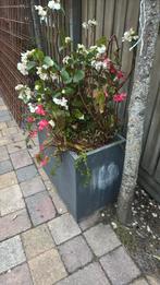 Bloem bakken, Tuin en Terras, Bloembakken en Plantenbakken, Ophalen, Zo goed als nieuw, Rond, Minder dan 30 cm