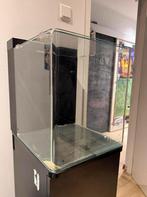 Blue marine 60 tank met kast en toebehorenen, Dieren en Toebehoren, Vissen | Aquaria en Toebehoren, Ophalen, Zo goed als nieuw
