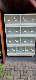 4 nette pascal hemel kunstof broedkooien, Dieren en Toebehoren, Ophalen, Gebruikt, Kunststof, Broedkooi of Kweekkooi