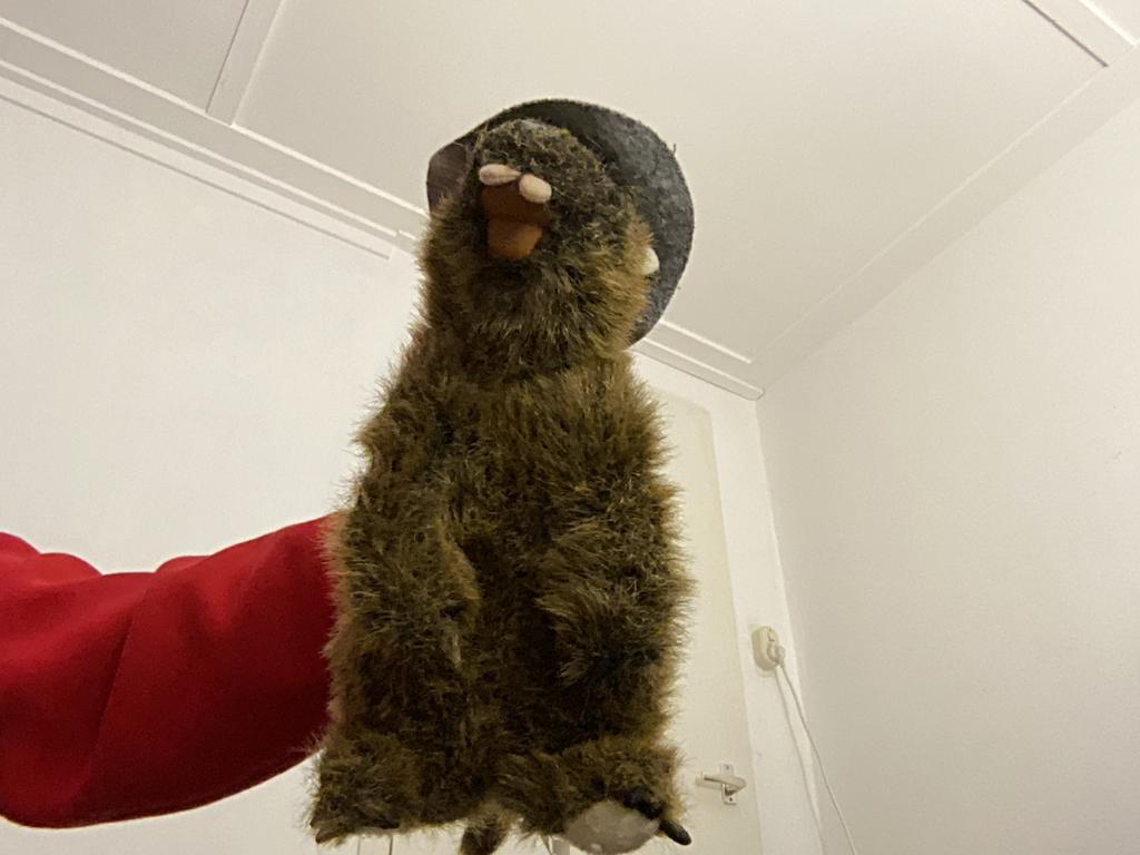 Knuffel Otter met Hoed - Zo goed als nieuw!, Ophalen, Zo goed als nieuw, Overige typen