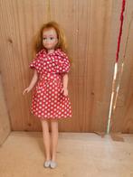 Mooie Clone Skipper, Gebruikt, Hong Kong, Fashion Doll, Hong Kong