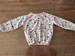 Leuke trui Little Kids maat 128, Kinderen en Baby's, Kinderkleding | Overige, Ophalen of Verzenden, Zo goed als nieuw, Little Kids