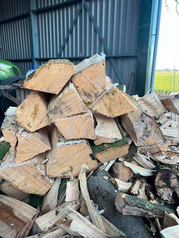 7 kuub losgestort Populieren / beuken haardhout overjarig 