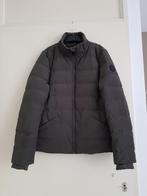 Jas / winterjas dames -- maat M / 38 -- Airforce (nieuw!), Maat 38/40 (M), Airforce, Nieuw, Ophalen of Verzenden
