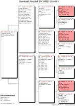 drie duivinnen uit o.a. rechtstreekse Prange, Vrouwelijk, Postduif