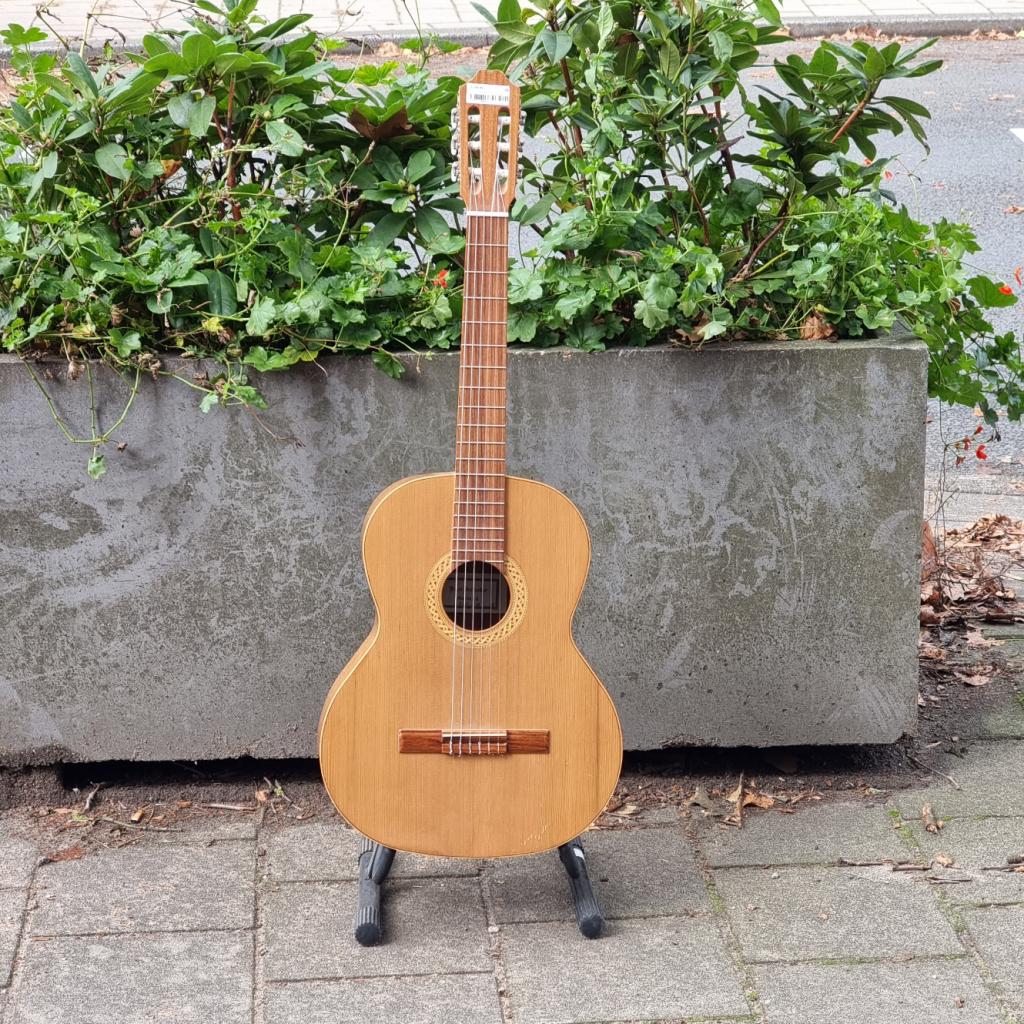 Juan Salvador Modelo 2C Gitaar, Muziek en Instrumenten, Flex Ltd., Gebruikt, https://flex.com/contact-us, Nobelstraat 10, 5807 GA Oostrum LB, Limburg, Nederland